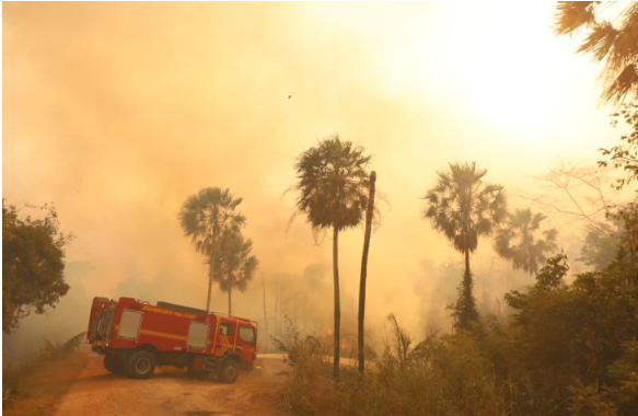 Imagem de compartilhamento para o artigo MS segue combate contra incêndios florestais com Operação Pantanal 2024 da MS Todo dia